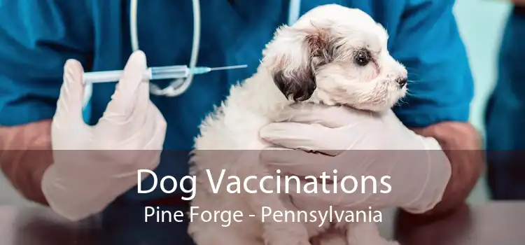 Dog Vaccinations Pine Forge - Pennsylvania