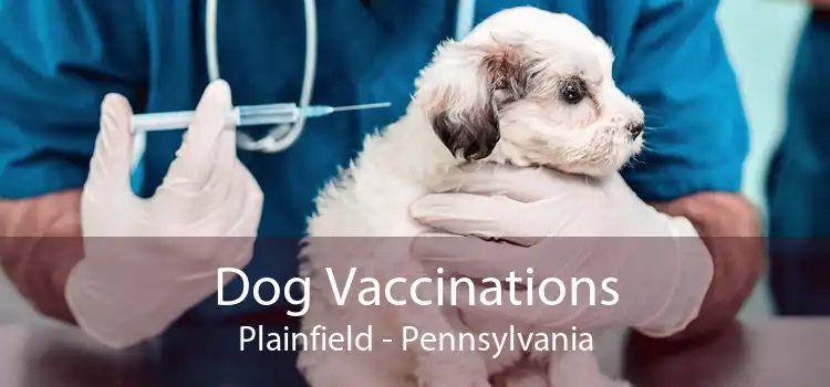 Dog Vaccinations Plainfield - Pennsylvania