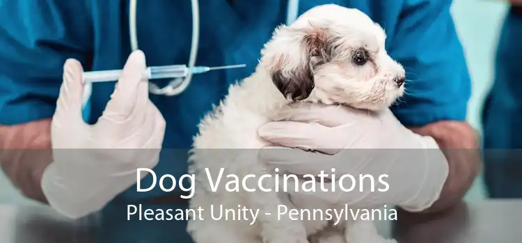 Dog Vaccinations Pleasant Unity - Pennsylvania