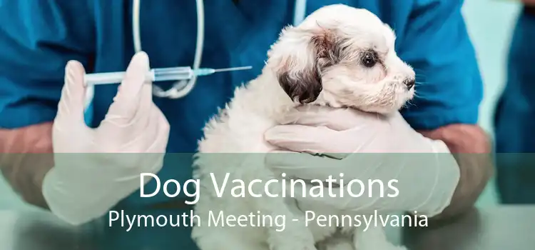 Dog Vaccinations Plymouth Meeting - Pennsylvania