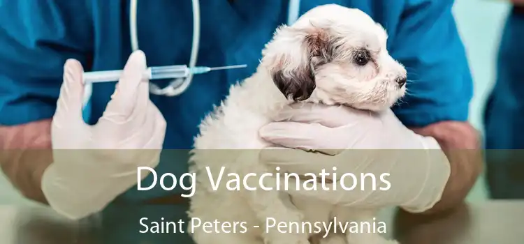 Dog Vaccinations Saint Peters - Pennsylvania