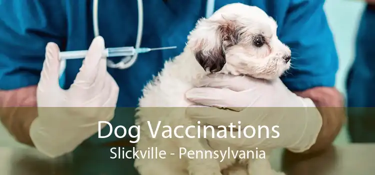 Dog Vaccinations Slickville - Pennsylvania