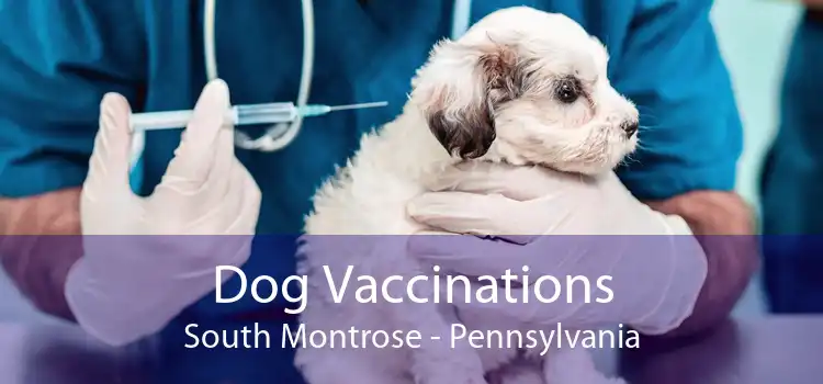 Dog Vaccinations South Montrose - Pennsylvania