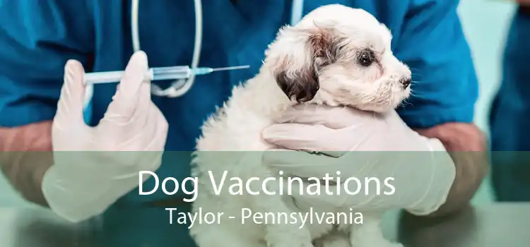 Dog Vaccinations Taylor - Pennsylvania