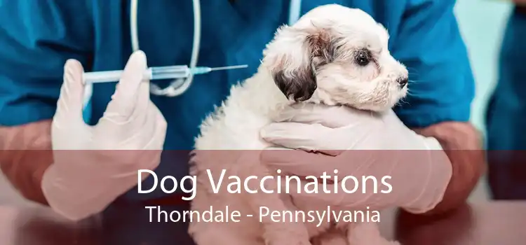 Dog Vaccinations Thorndale - Pennsylvania