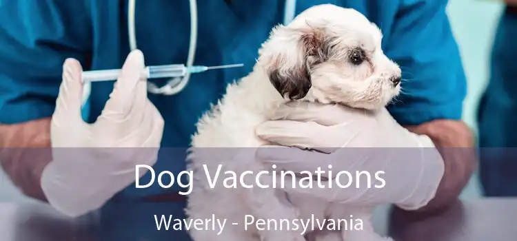 Dog Vaccinations Waverly - Pennsylvania