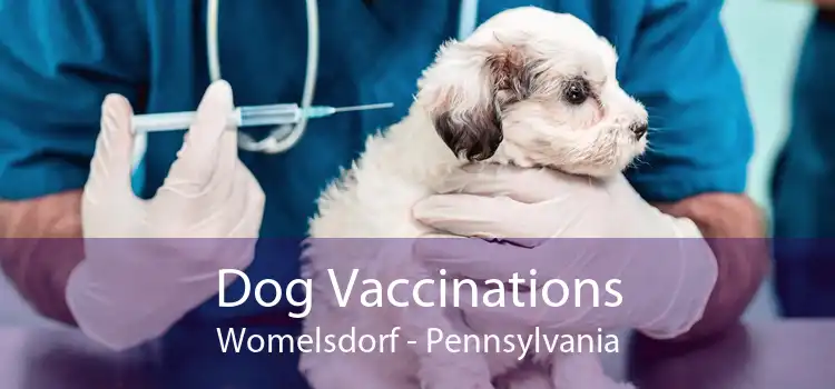 Dog Vaccinations Womelsdorf - Pennsylvania