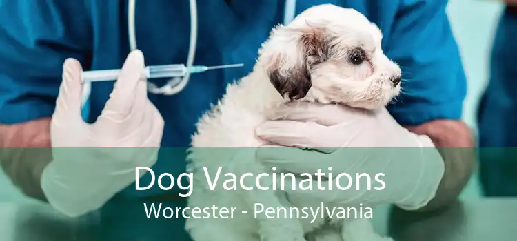 Dog Vaccinations Worcester - Pennsylvania