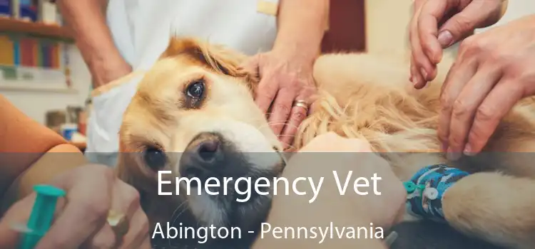 Emergency Vet Abington - Pennsylvania