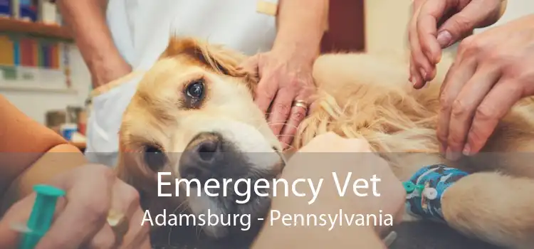 Emergency Vet Adamsburg - Pennsylvania