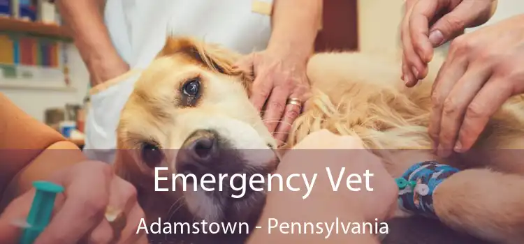 Emergency Vet Adamstown - Pennsylvania