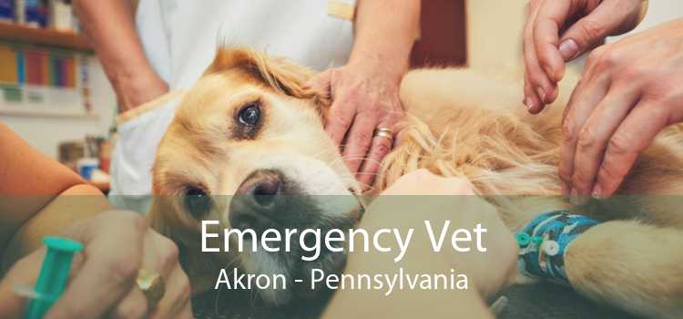 Emergency Vet Akron - Pennsylvania
