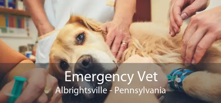 Emergency Vet Albrightsville - Pennsylvania