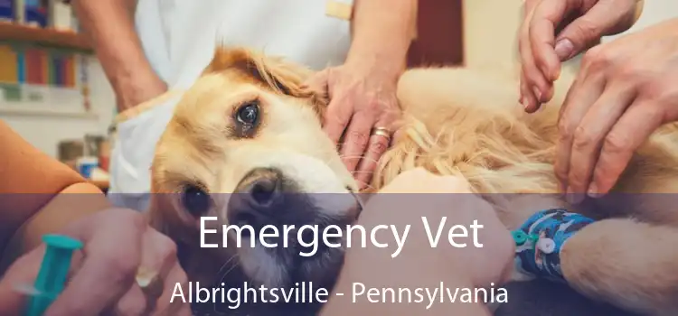 Emergency Vet Albrightsville - Pennsylvania