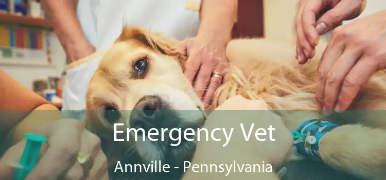 Emergency Vet Annville - Pennsylvania