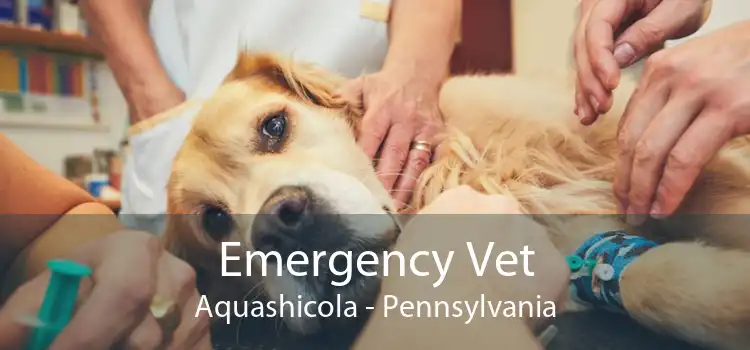Emergency Vet Aquashicola - Pennsylvania