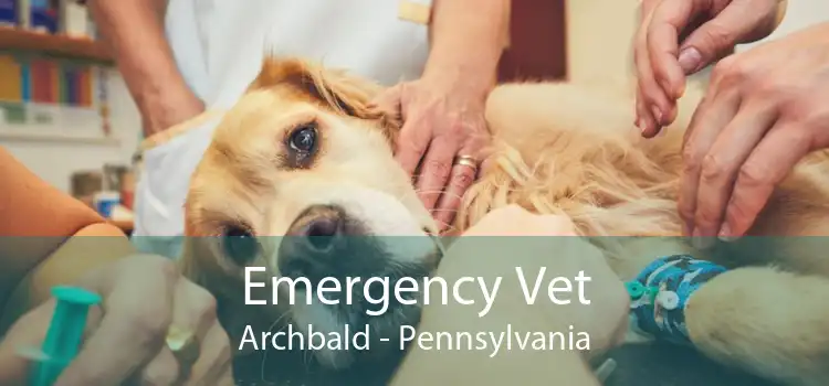 Emergency Vet Archbald - Pennsylvania