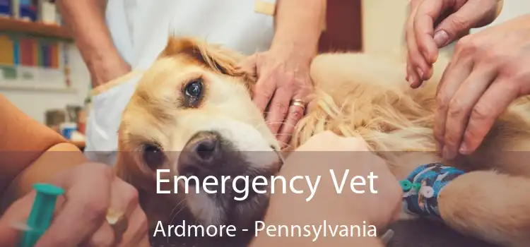 Emergency Vet Ardmore - Pennsylvania