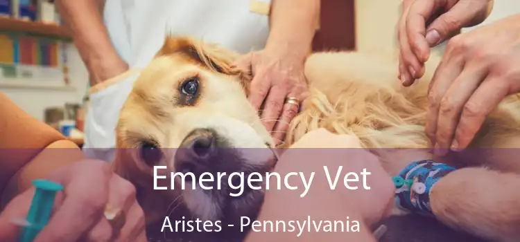 Emergency Vet Aristes - Pennsylvania