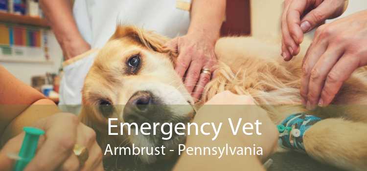 Emergency Vet Armbrust - Pennsylvania