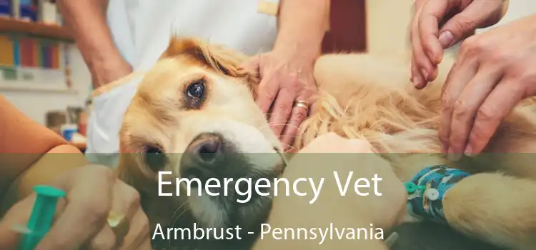 Emergency Vet Armbrust - Pennsylvania