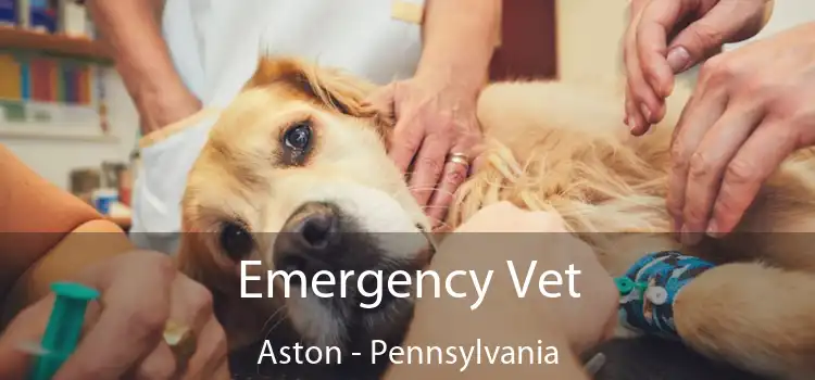 Emergency Vet Aston - Pennsylvania