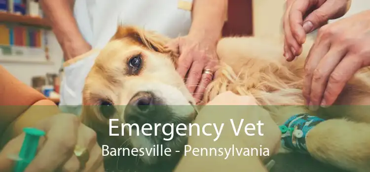 Emergency Vet Barnesville - Pennsylvania