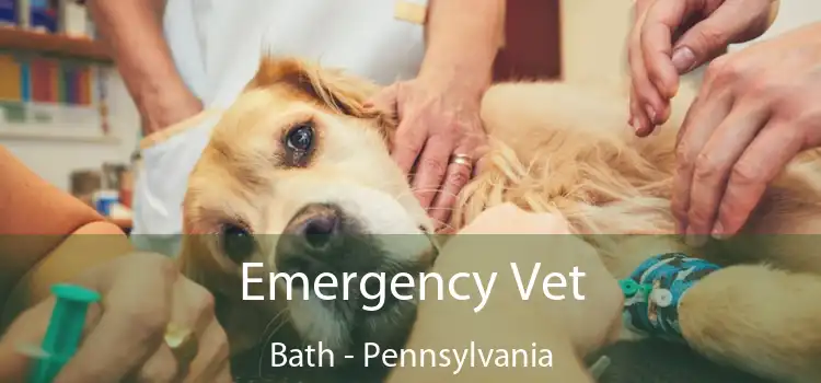 Emergency Vet Bath - Pennsylvania