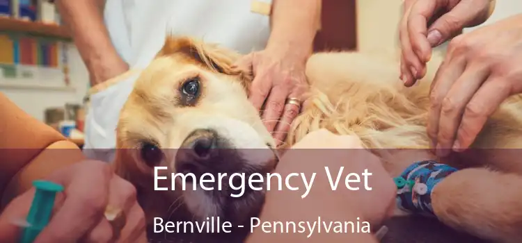 Emergency Vet Bernville - Pennsylvania