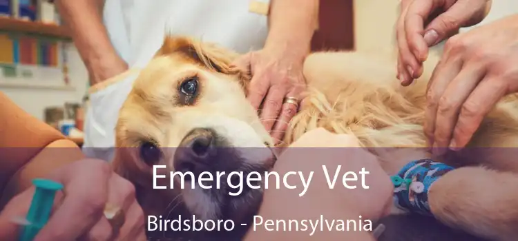 Emergency Vet Birdsboro - Pennsylvania