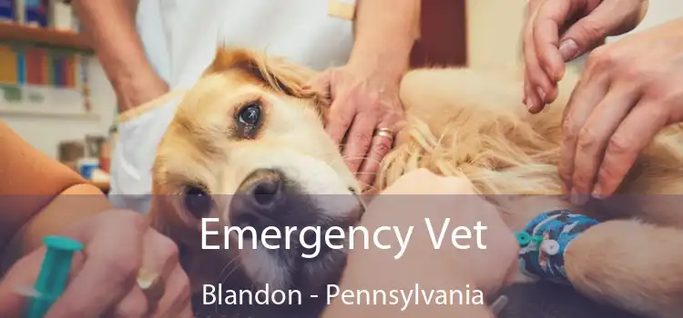 Emergency Vet Blandon - Pennsylvania