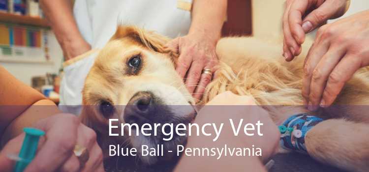 Emergency Vet Blue Ball - Pennsylvania