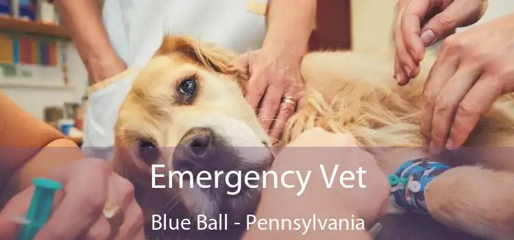 Emergency Vet Blue Ball - Pennsylvania