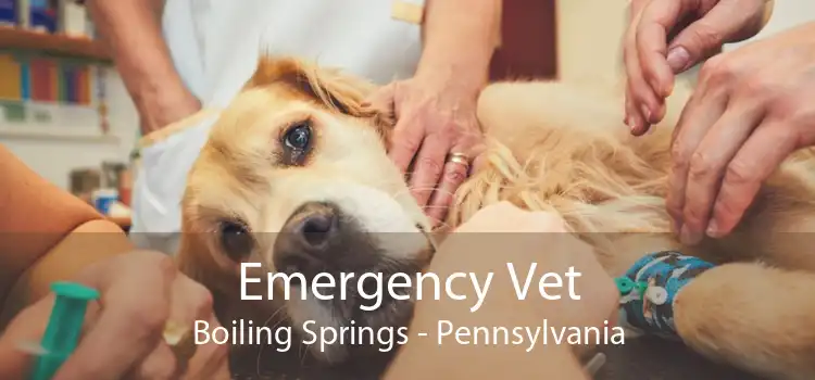 Emergency Vet Boiling Springs - Pennsylvania