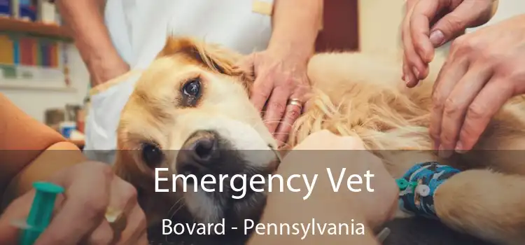 Emergency Vet Bovard - Pennsylvania