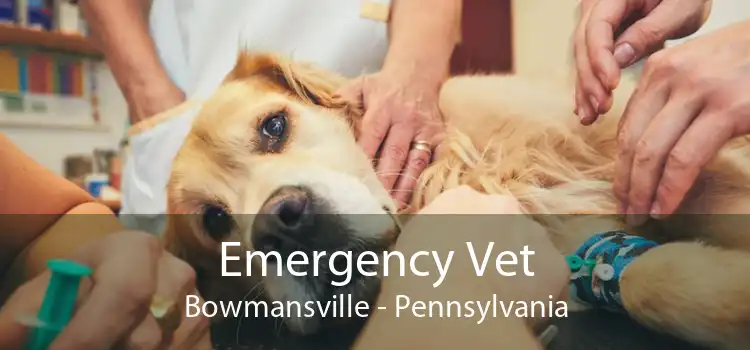 Emergency Vet Bowmansville - Pennsylvania