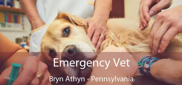 Emergency Vet Bryn Athyn - Pennsylvania