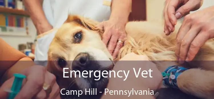 Emergency Vet Camp Hill - Pennsylvania