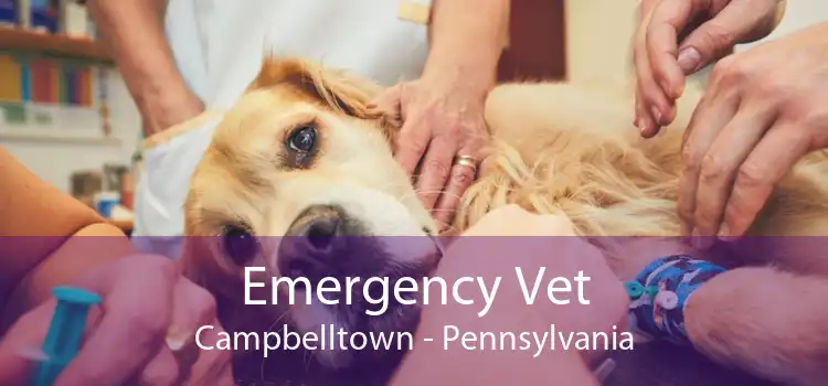 Emergency Vet Campbelltown - Pennsylvania