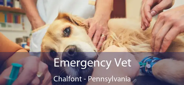 Emergency Vet Chalfont - Pennsylvania