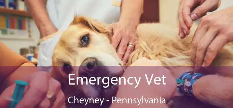 Emergency Vet Cheyney - Pennsylvania