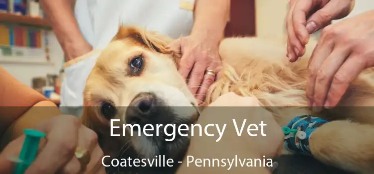 Emergency Vet Coatesville - Pennsylvania