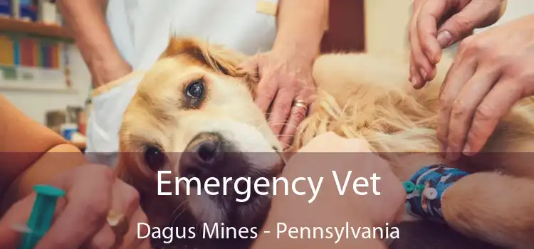 Emergency Vet Dagus Mines - Pennsylvania