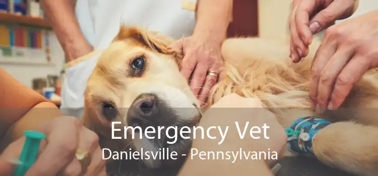 Emergency Vet Danielsville - Pennsylvania