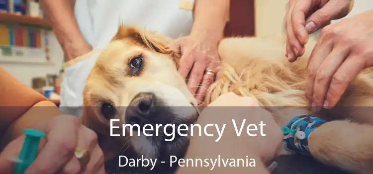 Emergency Vet Darby - Pennsylvania