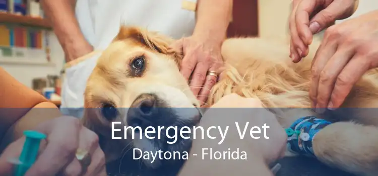 Emergency Vet Daytona - Florida