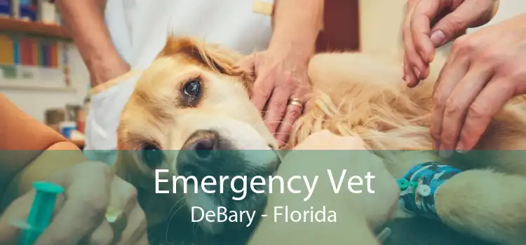 Emergency Vet DeBary - Florida