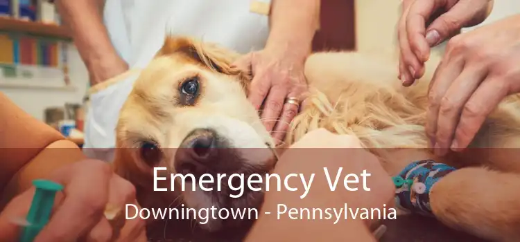 Emergency Vet Downingtown - Pennsylvania