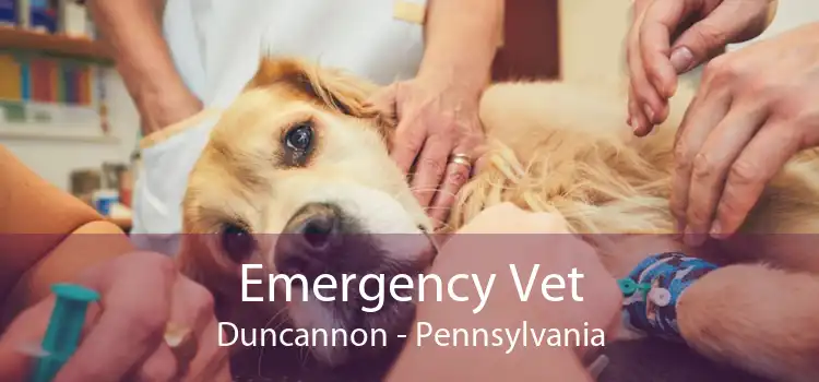Emergency Vet Duncannon - Pennsylvania