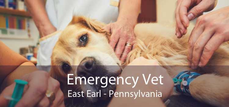 Emergency Vet East Earl - Pennsylvania